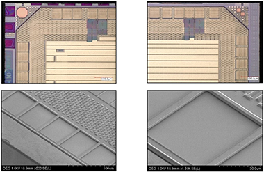 クレータリング検査(パッシベーションの健全性評価)
