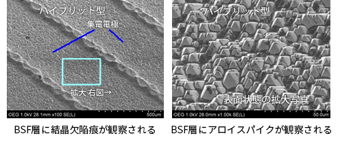 BSF層写真