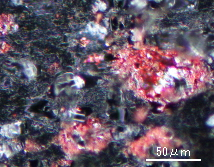 コネクタ（樹脂中）の赤りん光学顕微鏡像