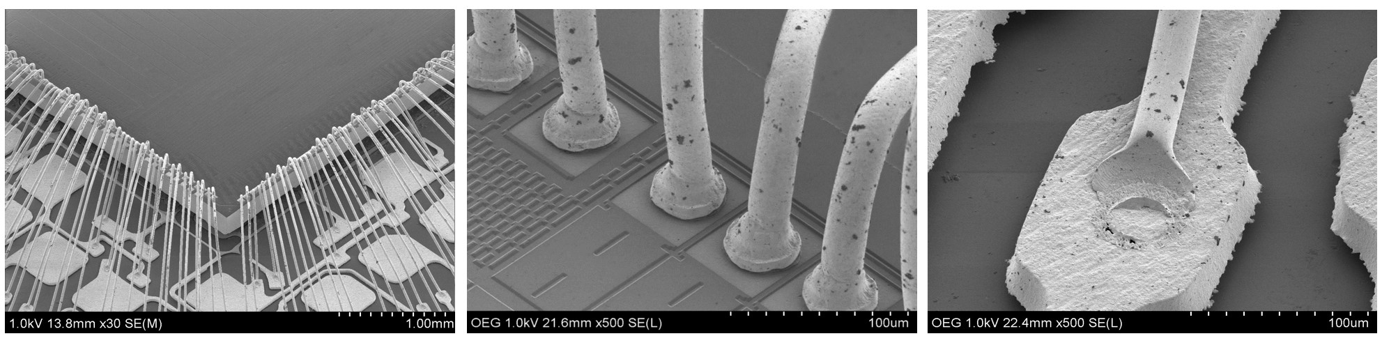 LSIの微細ワイヤの観察事例