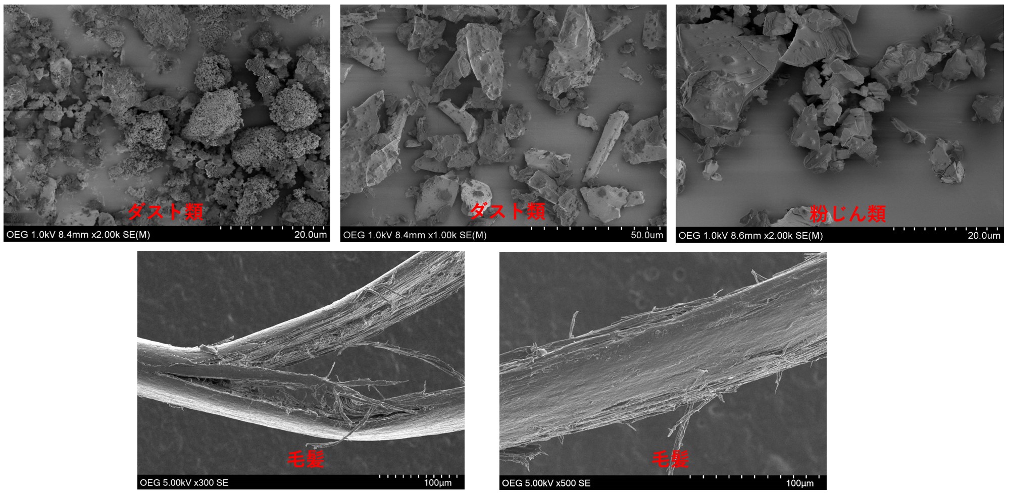その他、観察事例