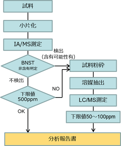 BNST分析の流れ