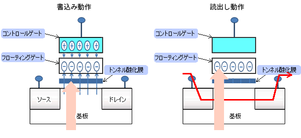 不揮発性メモリの断面構造